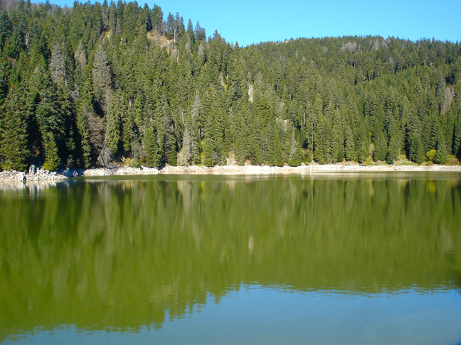 Pêche lac du lac vert
